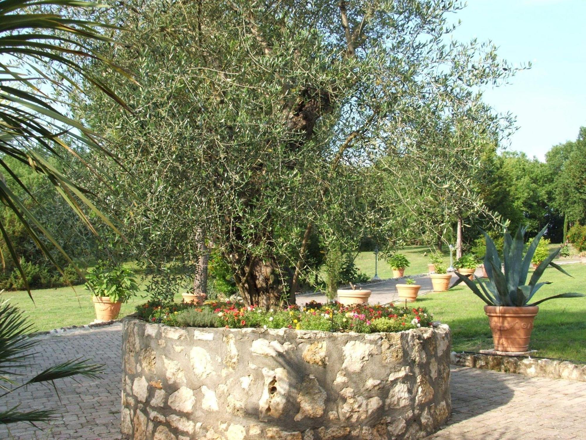 Hotel Il Pietreto Colle Val D'Elsa Dış mekan fotoğraf